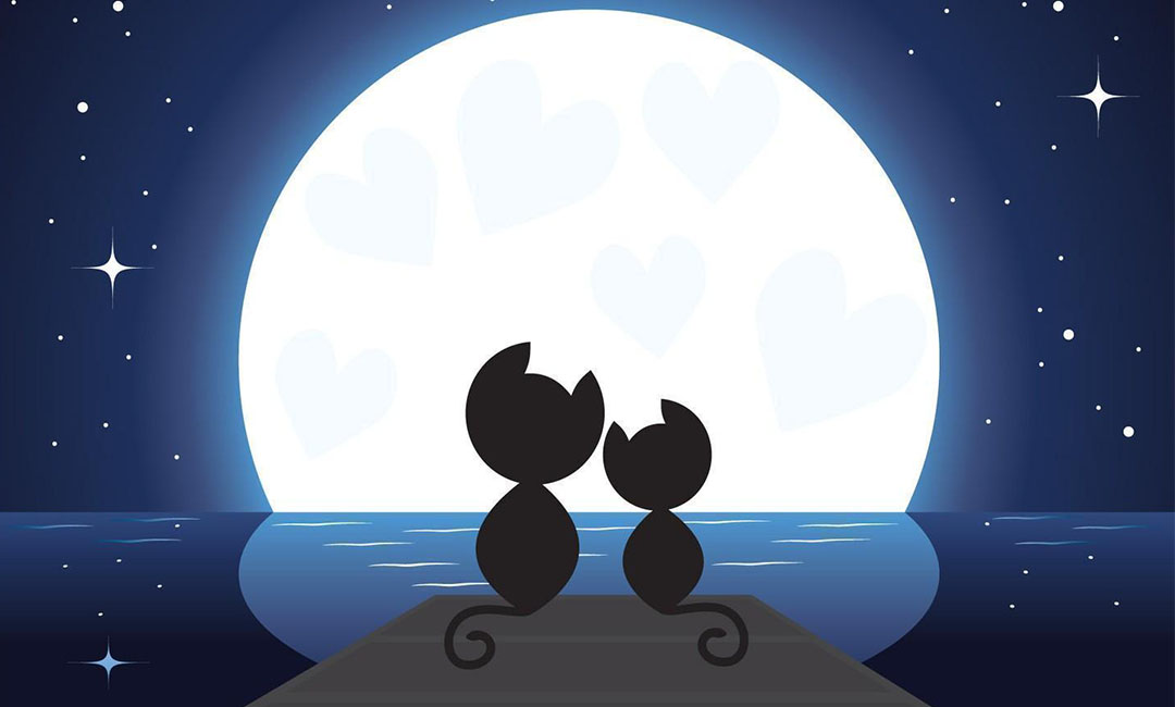 北京潮客汇微信活动策划案例