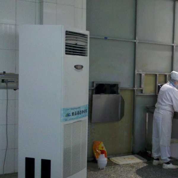 北京食品正负离子空气杀菌器